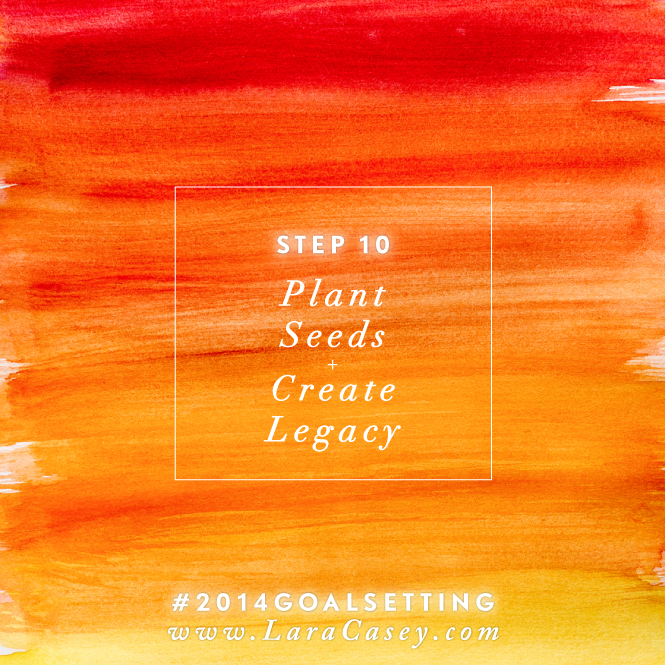 lara-casey-goal-setting-2014-plant-seeds