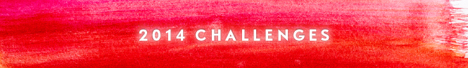 2014-CHALLENGES-LARA-CASEY