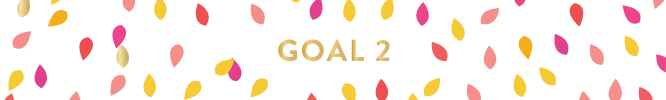 goal-2-lara-casey