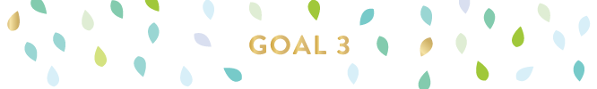 goal-3-lara-casey