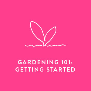 PreorderBonus_Gardening101