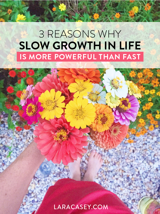 Who-Slow-Growth-is-Better-Than-Fast