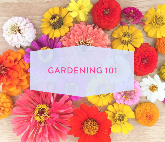 Gardening101